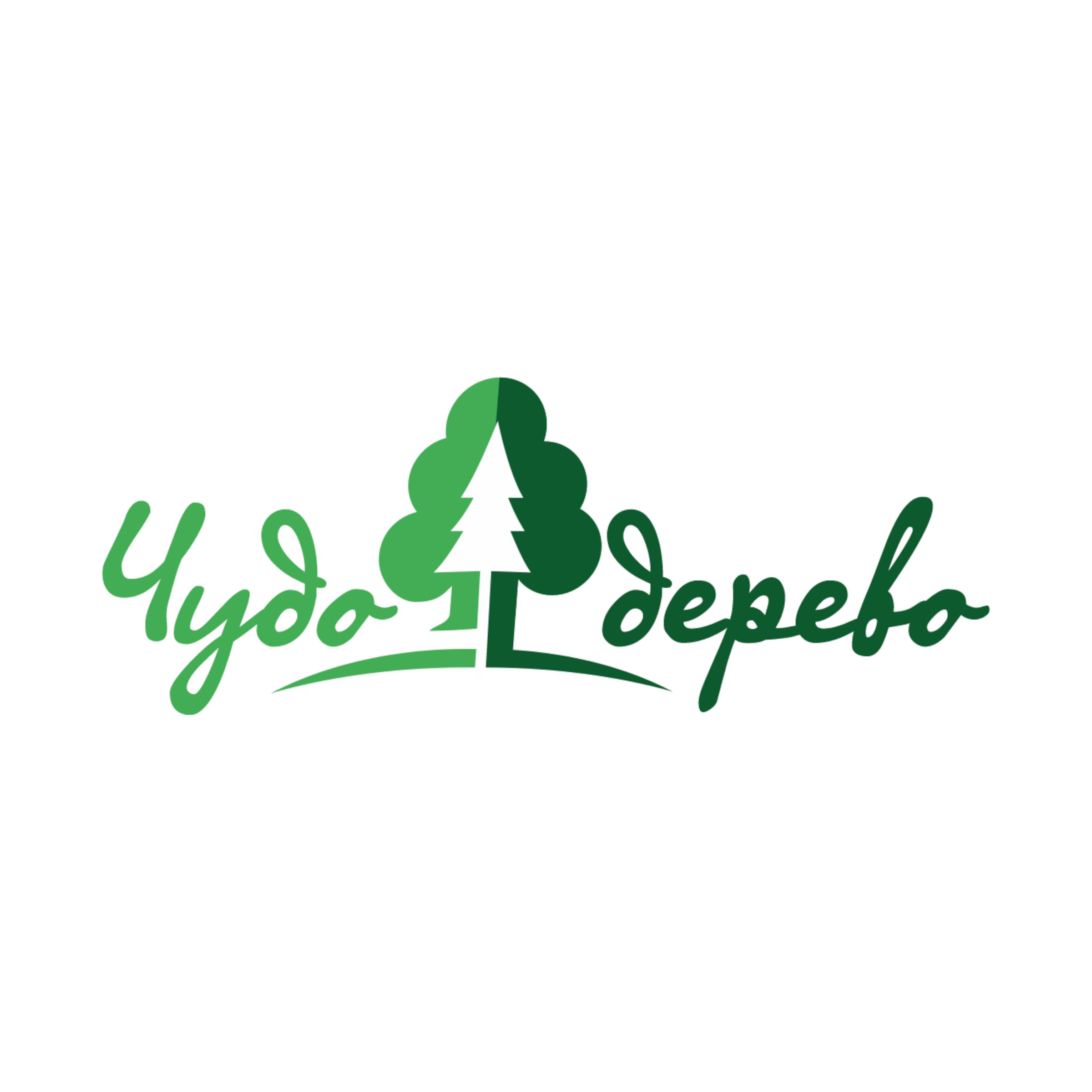 Чудо-Дерево
